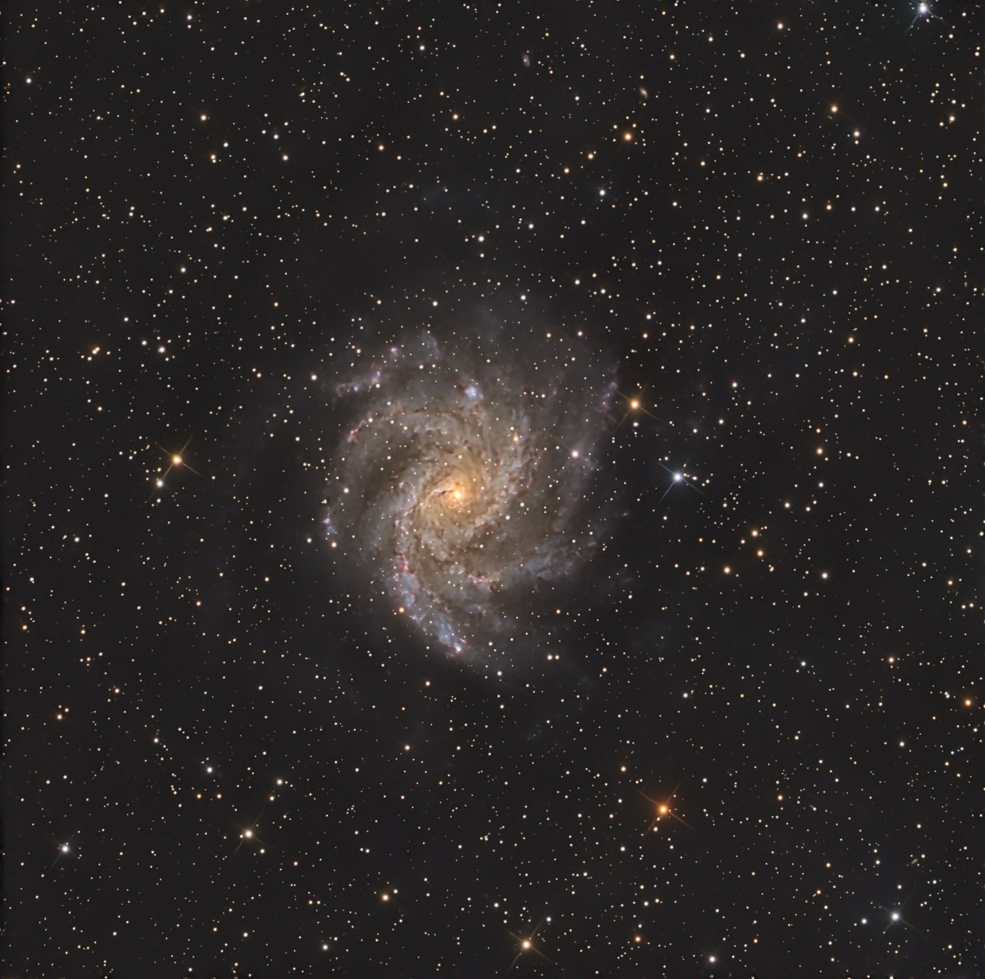 Die Fireworks Galaxy, NGC 6946 ist eine Balken-Spiralgalaxie im Sternbild Kepheus am Nordsternhimmel.